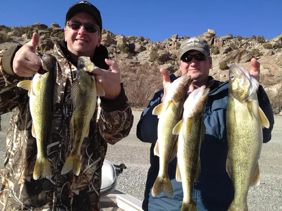 Wyoming Walleye Stampede Kicks Off This Weekend