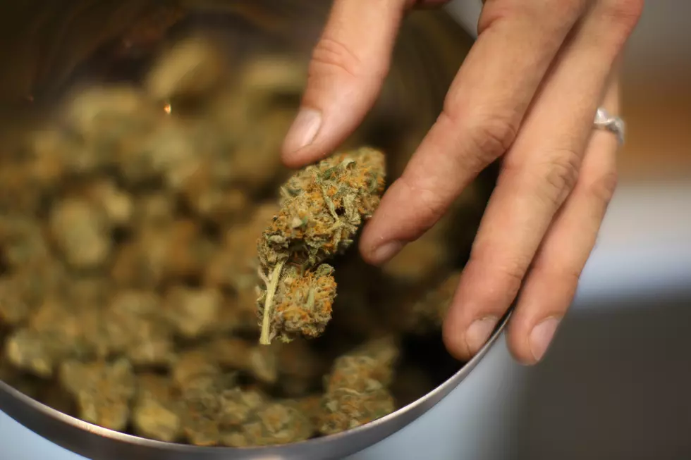 Wyoming Residents Changing Opinions About Marijuana